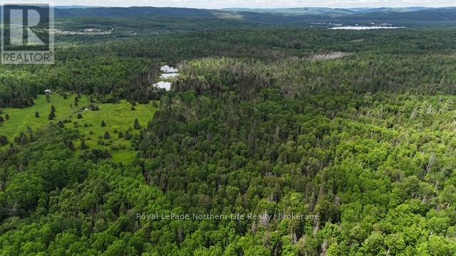 2141 PAPINEAU ROAD, Papineau-Cameron (Papineau Cameron) — photo 6