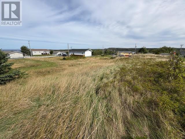 9 Buttons Hill - 15