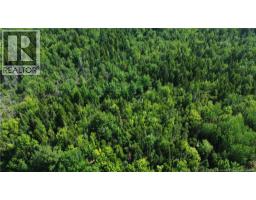 Lot 2022-4 Route 105, Mill Cove, NB E4C3B2 Photo 9