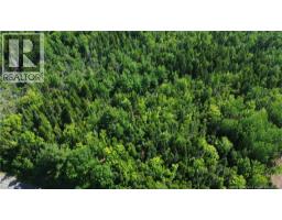 Lot 2022-4 Route 105, Mill Cove, NB E4C3B2 Photo 8