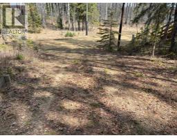 38 Pine Drive, Marten Beach, AB T0G2A0 Photo 18