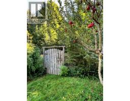 323 Sawmill Rd, Cortes Island, BC V0P1Z0 Photo 22