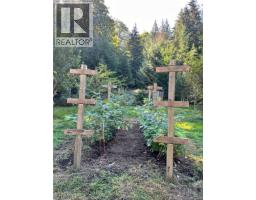 323 Sawmill Rd, Cortes Island, BC V0P1Z0 Photo 26