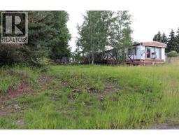 4938 49 Avenue, Robb, AB T0E1X0 Photo 13