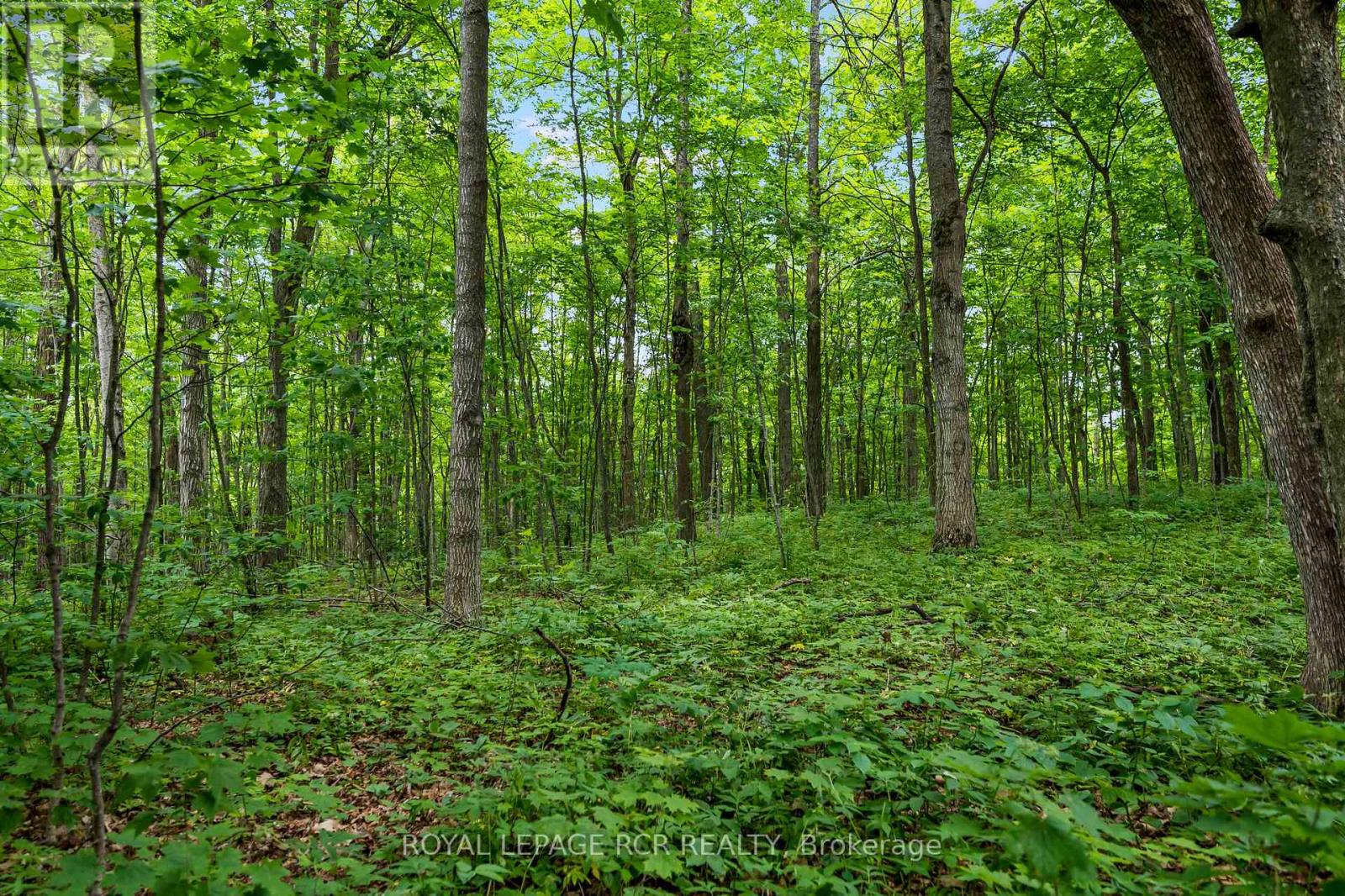 426079 25 SIDE ROAD - 48