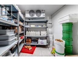 3163 Tecumseh Road East, Windsor, ON N8W1G9 Photo 33
