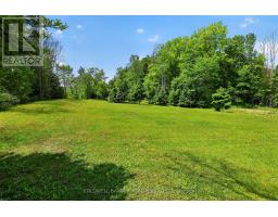 2946 Concession Rd 3, Adjala Tosorontio, ON L0G1L0 Photo 35