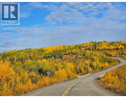 114 Kitza Avenue, Faro, YT Y0B1K0 Photo 11