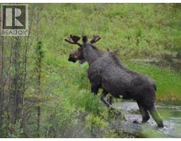 116 Kitza Avenue, Faro, YT Y0B1K0 Photo 32