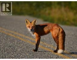 116 Kitza Avenue, Faro, YT Y0B1K0 Photo 28