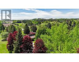 2881 Doane Road, East Gwillimbury, ON L0G1R0 Photo 27
