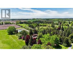 2881 Doane Road, East Gwillimbury, ON L0G1R0 Photo 29