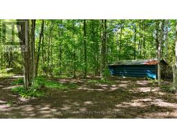 42 Warner Bay Road, Northern Bruce Peninsula, ON N0H2R0 Photo 47
