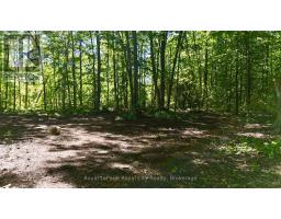 42 Warner Bay Road, Northern Bruce Peninsula, ON N0H2R0 Photo 46