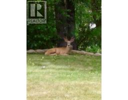 321 Copper Avenue Lot# 17, Greenwood, BC V0H1J0 Photo 6