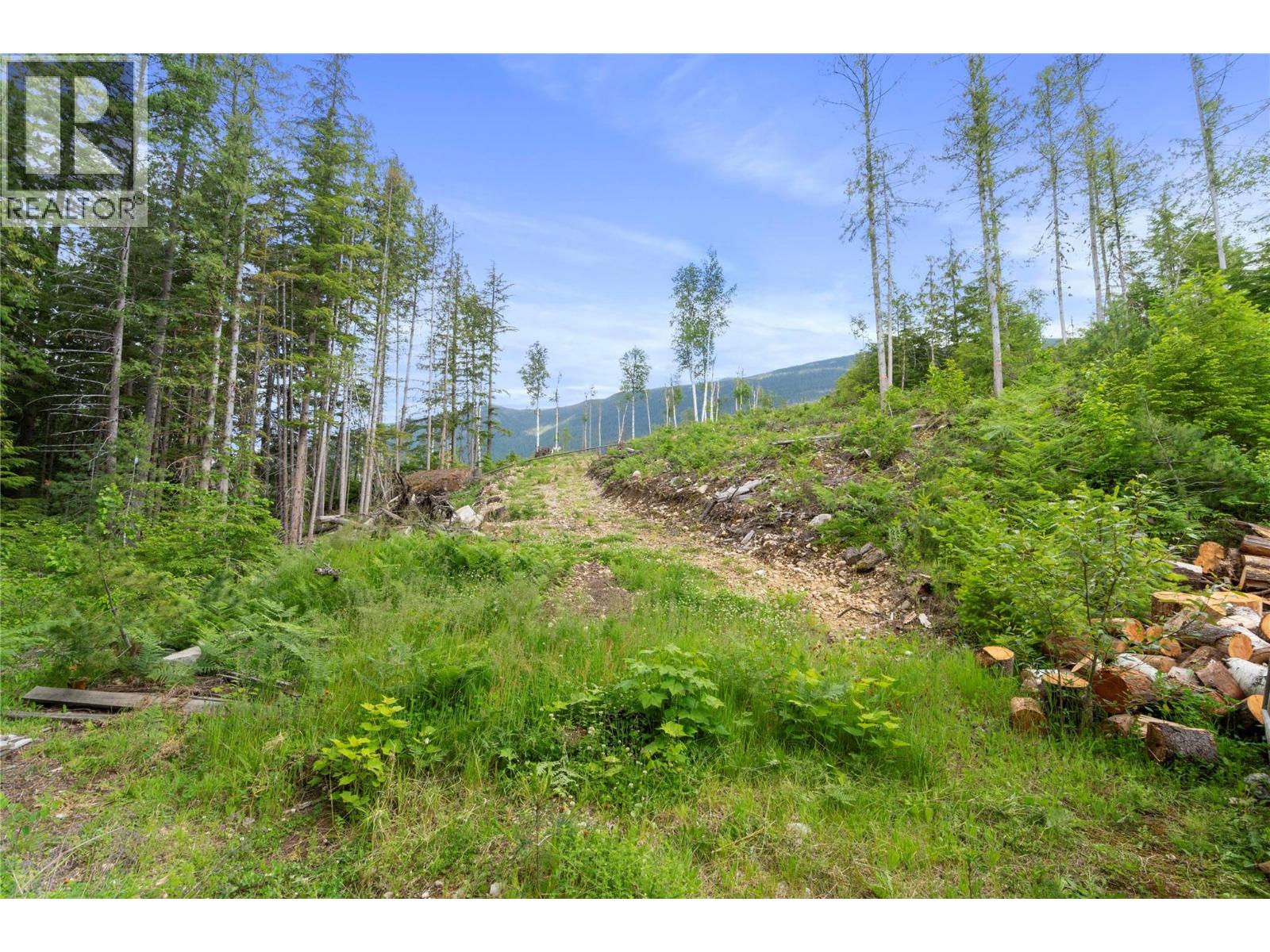 1598 Quast Road - 55