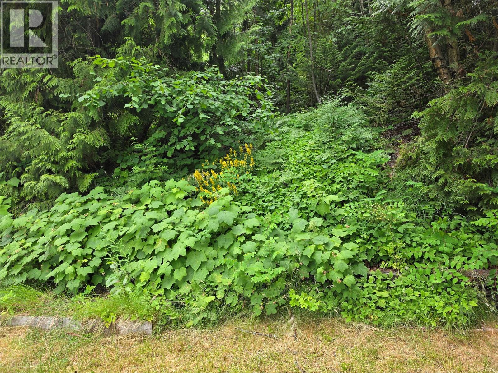 2436 11th Avenue - 31