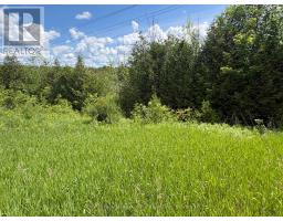 9161 Erin-garafraxa Townline, Erin, ON L0N1N0 Photo 9