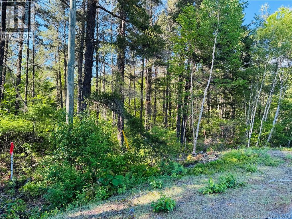 Lot 2026-2 Crystal Drive, Miramichi — photo 2