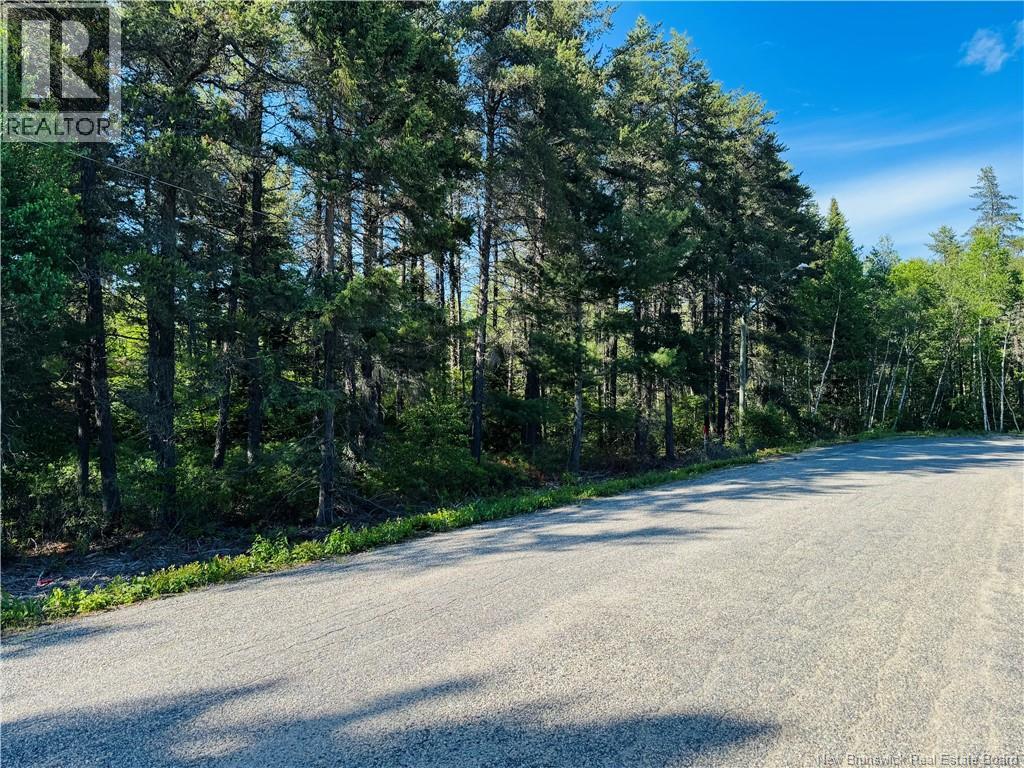 Lot 2026-1 Crytal Drive, Miramichi — photo 3