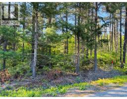 Lot 2026-1 Crystal Drive, Miramichi, NB E1N3P7 Photo 7