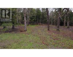 Lot 142 Condon Road, Scotsburn, NS B0K1R0 Photo 17