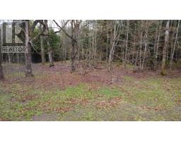 Lot 142 Condon Road, Scotsburn, NS B0K1R0 Photo 18