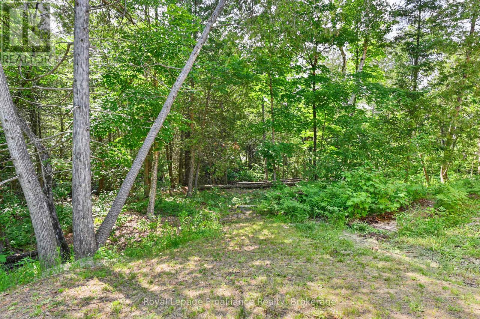 93 HAMMOND ROAD - 37