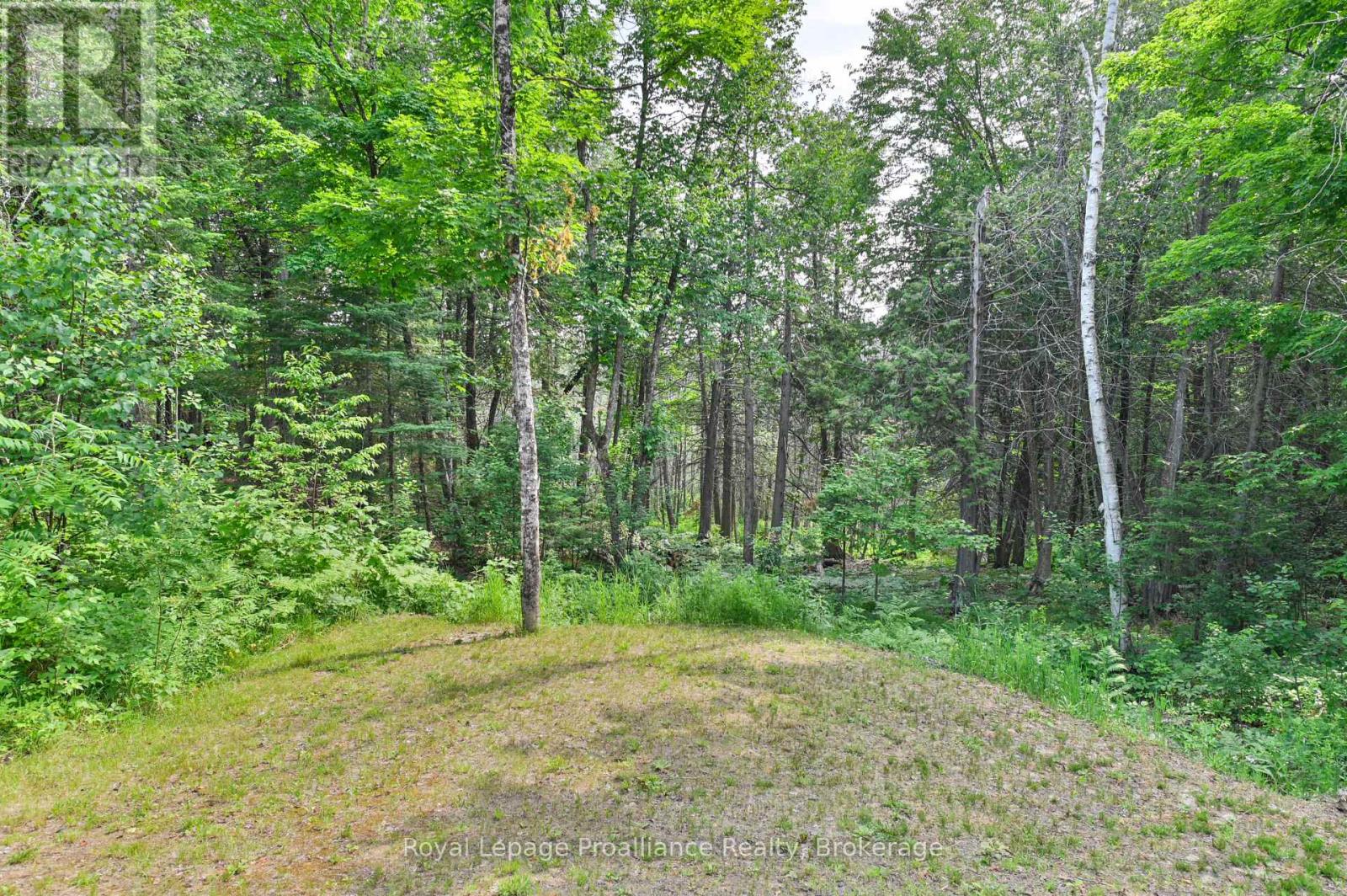 93 HAMMOND ROAD - 39