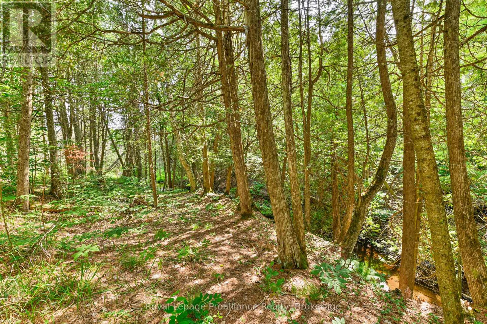 93 HAMMOND ROAD - 41