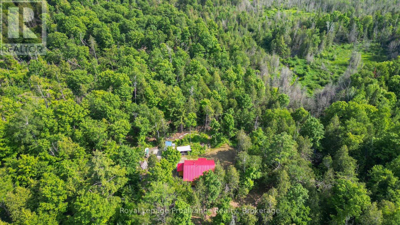 93 HAMMOND ROAD - 45