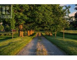 99 County Road 18 Road, Brant, ON N3T5L9 Photo 10