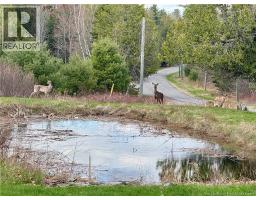 164 Gore Road, Fredericton Junction, NB E5L1T9 Photo 37