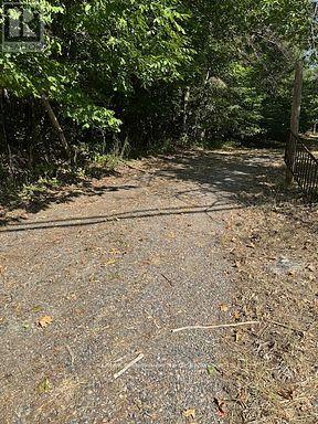 2875 County Road 21 Road — photo 17