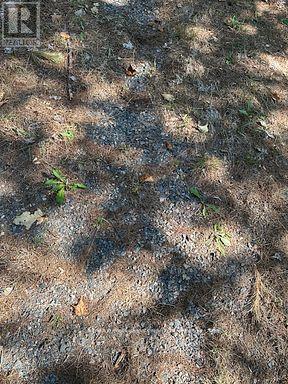 2875 County Road 21 Road — photo 20