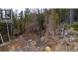 97 Lambert Road, Lamberts Cove, NB E0H1W0 Photo 14