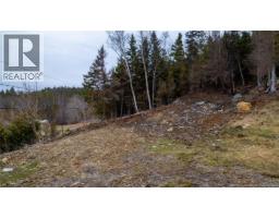 97 Lambert Road, Lamberts Cove, NB E0H1W0 Photo 25