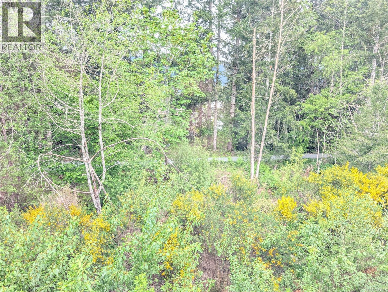 149 Edgewood Dr - 9