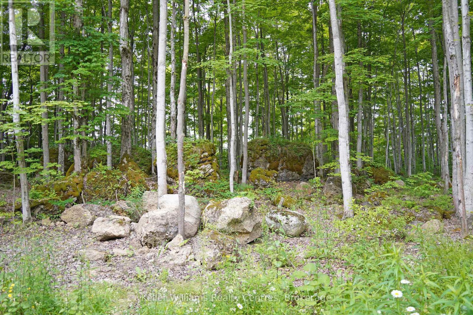 382488 CONCESSION 17 ROAD - 43
