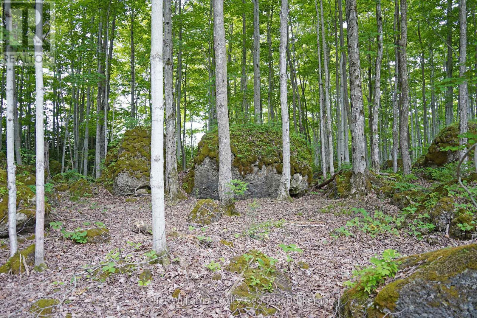 382488 CONCESSION 17 ROAD - 44