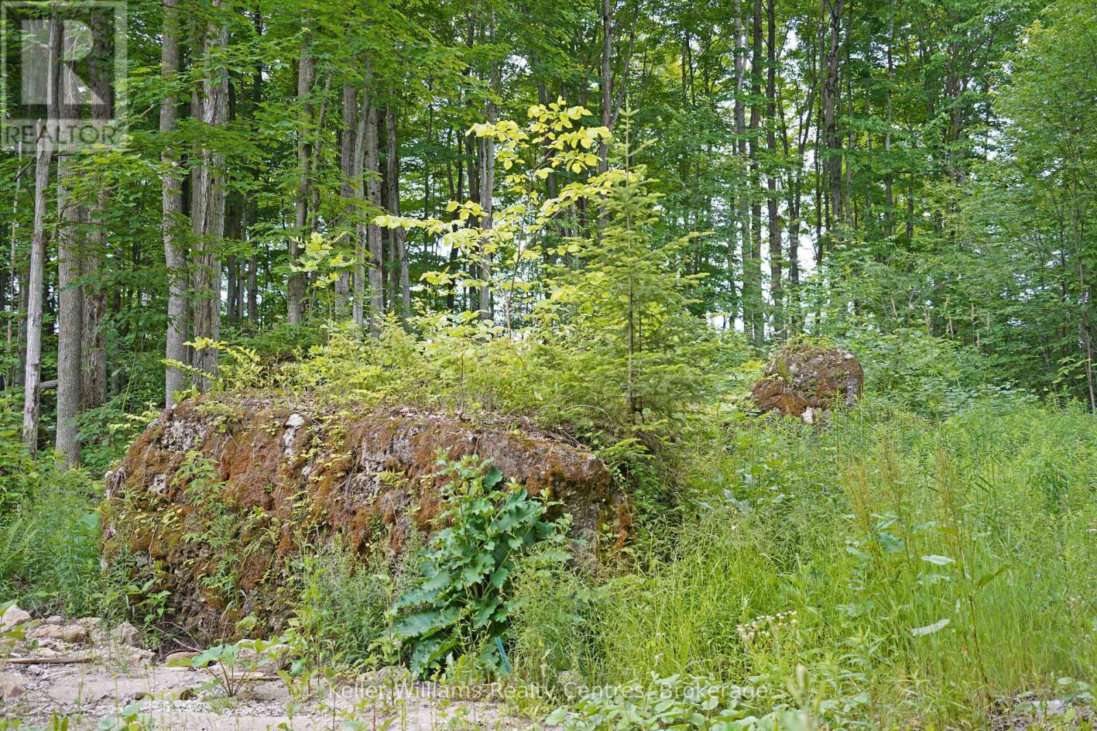 382488 CONCESSION 17 ROAD - 45