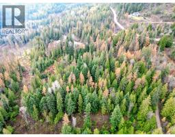 766 Drakes Road, Rossland, BC V0G1Y0 Photo 10
