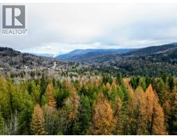 766 Drakes Road, Rossland, BC V0G1Y0 Photo 11