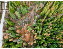 766 Drakes Road, Rossland, BC V0G1Y0 Photo 7