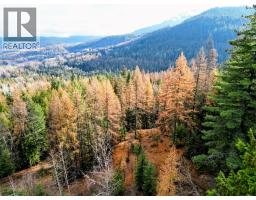 766 Drakes Road, Rossland, BC V0G1Y0 Photo 13