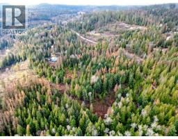 766 Drakes Road, Rossland, BC V0G1Y0 Photo 8