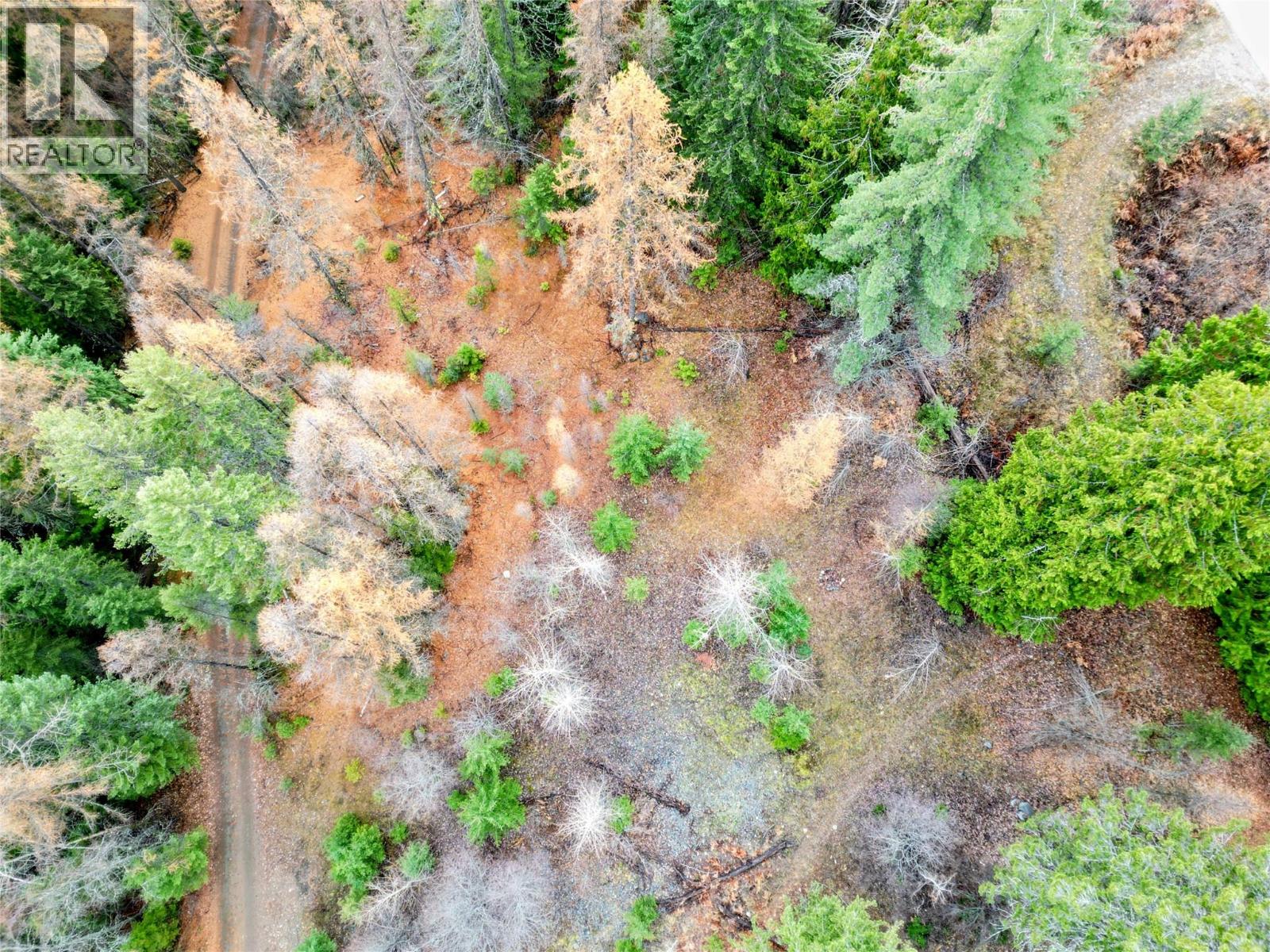 766 Drakes Road, Rossland — photo 2