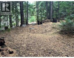 766 Drakes Road, Rossland, BC V0G1Y0 Photo 14