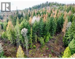 766 Drakes Road, Rossland, BC V0G1Y0 Photo 9