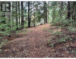 766 Drakes Road, Rossland, BC V0G1Y0 Photo 15